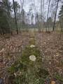 48C Starbird Road - Photo 42