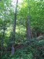 939 U.S. Route 5 - Photo 17
