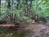 Map 6, Lot 38 Chadwick Hill Road - Photo 8