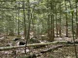 0 Alder Plains Road - Photo 10