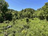 0 Alder Plains Road - Photo 3
