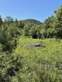 0 Alder Plains Road - Photo 4