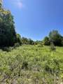 0 Alder Plains Road - Photo 5
