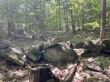 0 Alder Plains Road - Photo 7