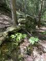 0 Alder Plains Road - Photo 8