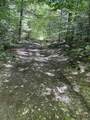 0 Alder Plains Road - Photo 9