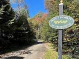 192 Pingree Park Lane - Photo 3