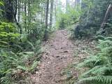 192 Pingree Park Lane - Photo 8