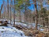 12 Old Route 12 - Photo 13
