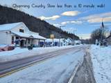 919 A Route 100 - Photo 49
