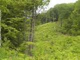 230-022 Thurlow Street - Photo 4
