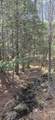 0 Jacobs Ladder Road - Photo 2