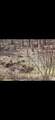 0 Jacobs Ladder Road - Photo 6