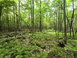882 Morse Road - Photo 36