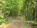 882 Morse Road - Photo 38