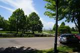 86 Lake Street - Photo 16