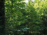 Lot 26 Presidential View Lane - Photo 1