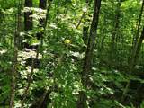 Lot 26 Presidential View Lane - Photo 10