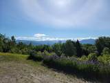 Lot 26 Presidential View Lane - Photo 13