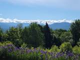 Lot 26 Presidential View Lane - Photo 15