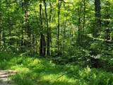 Lot 26 Presidential View Lane - Photo 4
