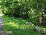 Lot 26 Presidential View Lane - Photo 7