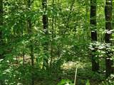 Lot 26 Presidential View Lane - Photo 9