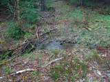 001 Sand County Road - Photo 9
