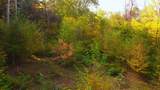 463 Old Talc Mine Road - Photo 10