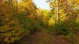 463 Old Talc Mine Road - Photo 3