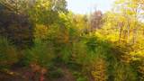 463 Old Talc Mine Road - Photo 8