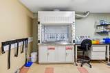 19 Levesque Drive - Photo 32
