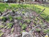 12 Liberty Street - Photo 28