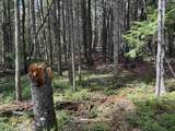 00 Boynton Road - Photo 10