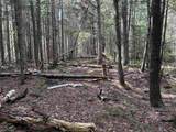 00 Boynton Road - Photo 15