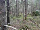 00 Boynton Road - Photo 18