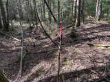 00 Boynton Road - Photo 8