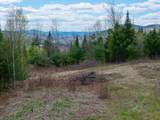 Lot 2 Moore Dam Road - Photo 10
