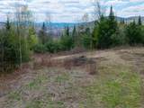 Lot 2 Moore Dam Road - Photo 19