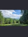 125 Evergreen Lane - Photo 1