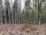 TBD Center Pond Road - Photo 9
