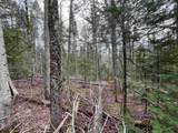 TBD Center Pond Road - Photo 7