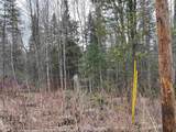 TBD Center Pond Road - Photo 8