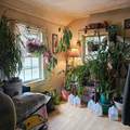 733 Rt 121 - Photo 12