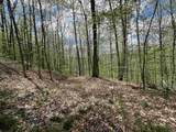 188 Rattlesnake Mountain Road - Photo 12