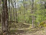 188 Rattlesnake Mountain Road - Photo 13