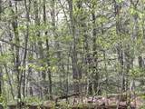 188 Rattlesnake Mountain Road - Photo 15