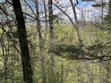 188 Rattlesnake Mountain Road - Photo 16