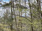 188 Rattlesnake Mountain Road - Photo 18