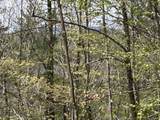 188 Rattlesnake Mountain Road - Photo 19